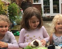 Feeding Apple and Crumble the Guinea Pigs