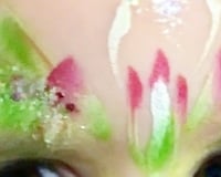 Dinas powys rugby club Easter party