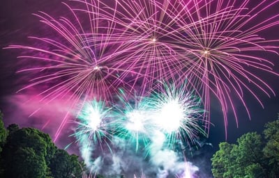 Wedding display - Gisburne Park