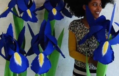 Giant paper Iris
