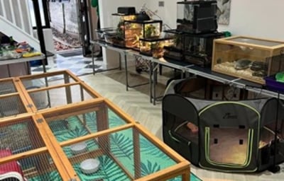 Party set up inside someone's house