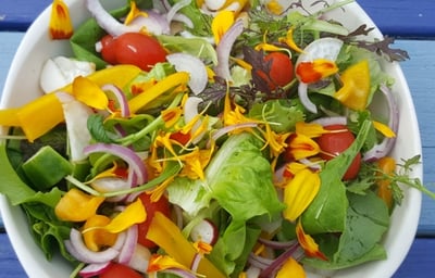 colourful_salad