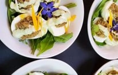 georgia starters.jpg