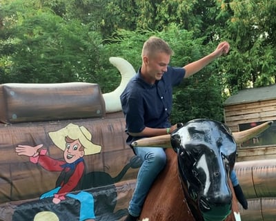 Rodeo Bull Hire